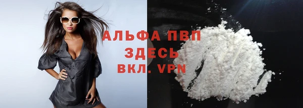 МДПВ Нея