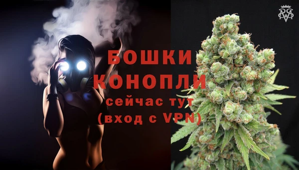 МДПВ Нея