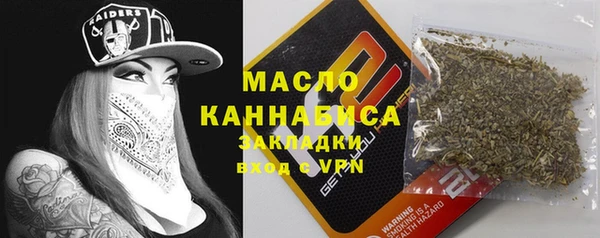 МДПВ Нея
