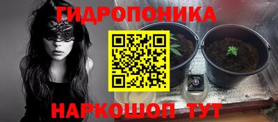 каннабис Абакан