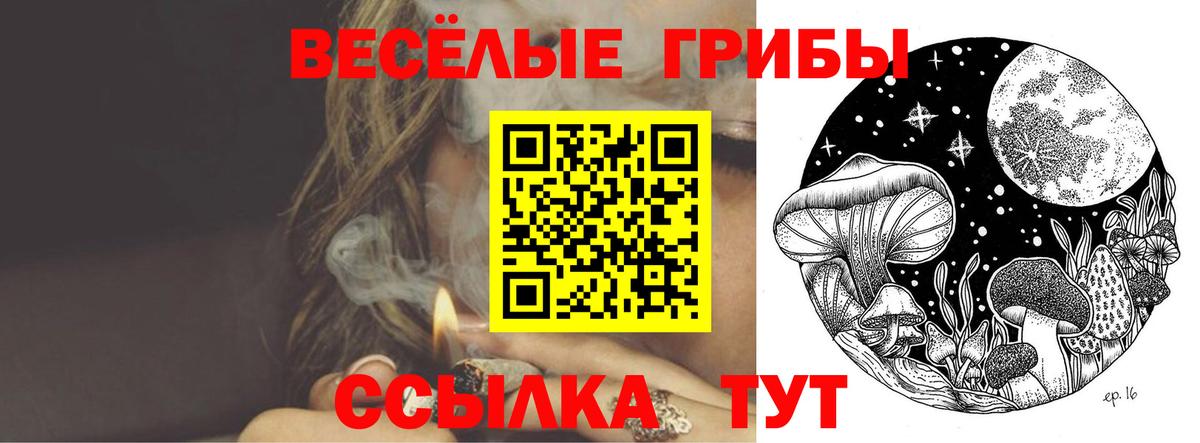 Псилоцибиновые грибы мухоморы  Галлюциногенные грибы GOLDEN TEACHER  Александров 