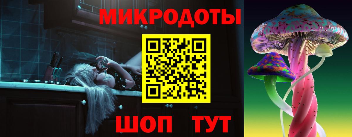 Галлюциногенные грибы Psilocybe Александров