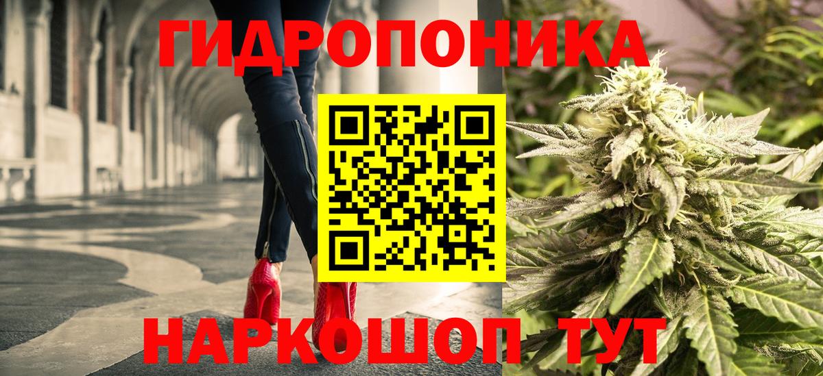 Каннабис OG Kush  Александров  Канабис планчик 